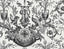 Kravet DESIGN W4239 8 Wallpaper