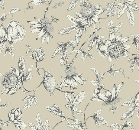 Kravet DESIGN W4240 16 Wallpaper