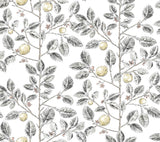 Kravet DESIGN W4241 21 Wallpaper