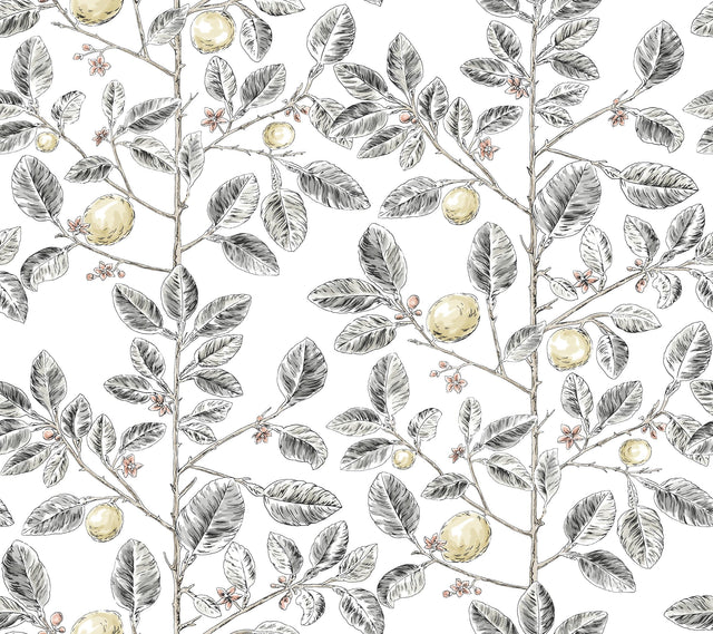 Kravet DESIGN W4241 21 Wallpaper
