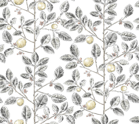 Kravet DESIGN W4241 21 Wallpaper