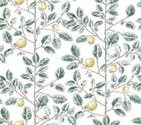 Kravet DESIGN W4241 354 Wallpaper