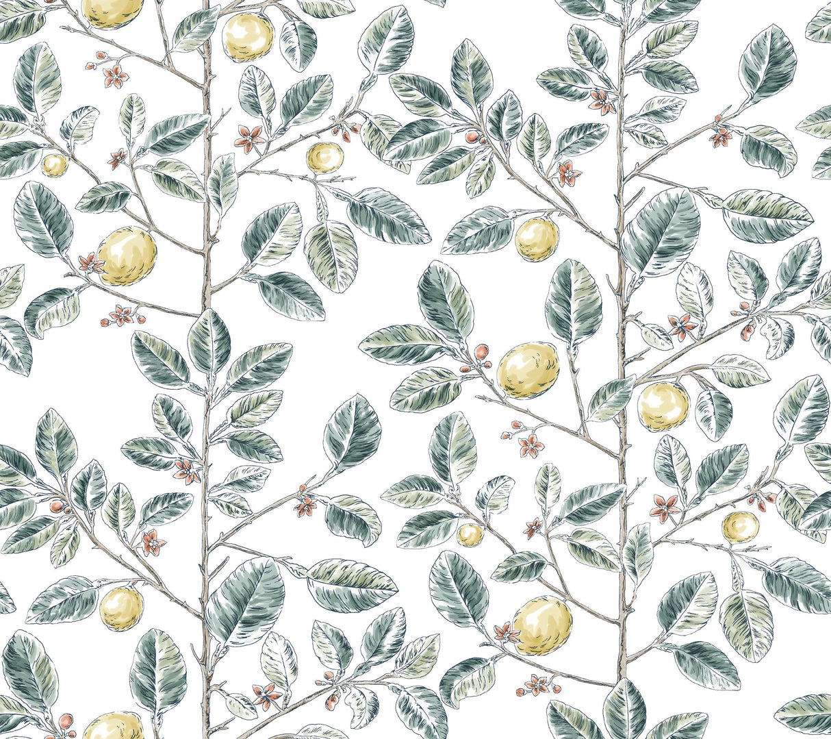 Kravet DESIGN W4241 354 Wallpaper