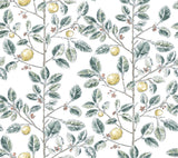 Kravet DESIGN W4241 354 Wallpaper