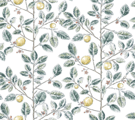 Kravet DESIGN W4241 354 Wallpaper