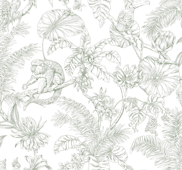 Kravet DESIGN W4250 31 Wallpaper