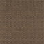 Harlequin Loopy Spot Chocolate Fabric