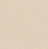 Brewster Home Fashions Solids Beige Wallpaper