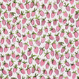 Schumacher Shortcake Indoor/Outdoor Pink Fabric