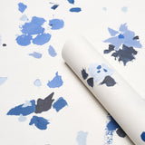 Schumacher Backdrop X Schumacher Fairfarren Clean Blue Wallpaper
