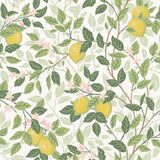 Borastapeter Citrontrd Ivory And Leaf Wallpaper