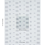 Schumacher Oaxaca Navy On Sky Fabric