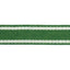 Schumacher Sullivan Tape Narrow Indoor/Outdoor Green Trim