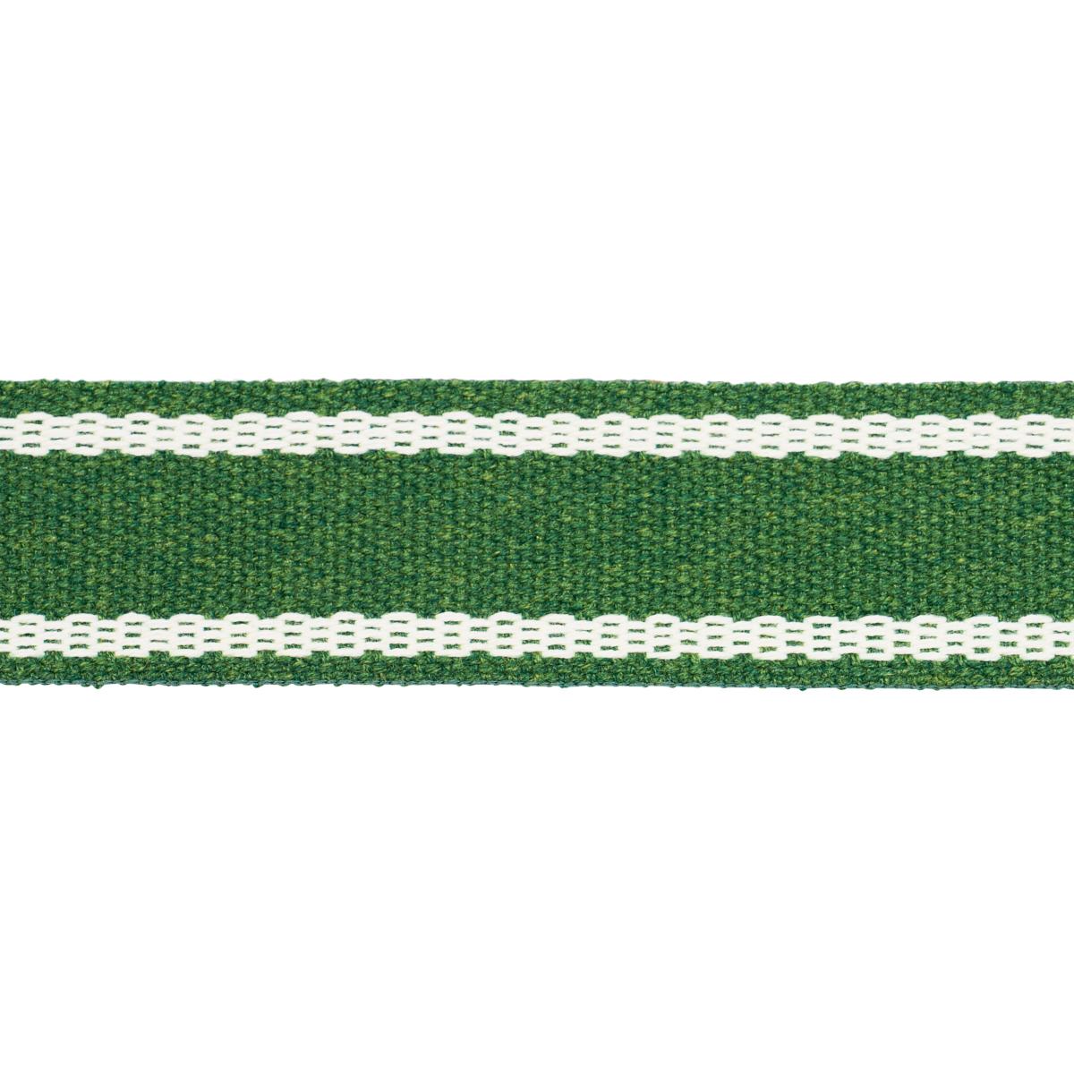 Schumacher Sullivan Tape Narrow Indoor/Outdoor Green Trim