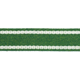 Schumacher Sullivan Tape Narrow Indoor/Outdoor Green Trim