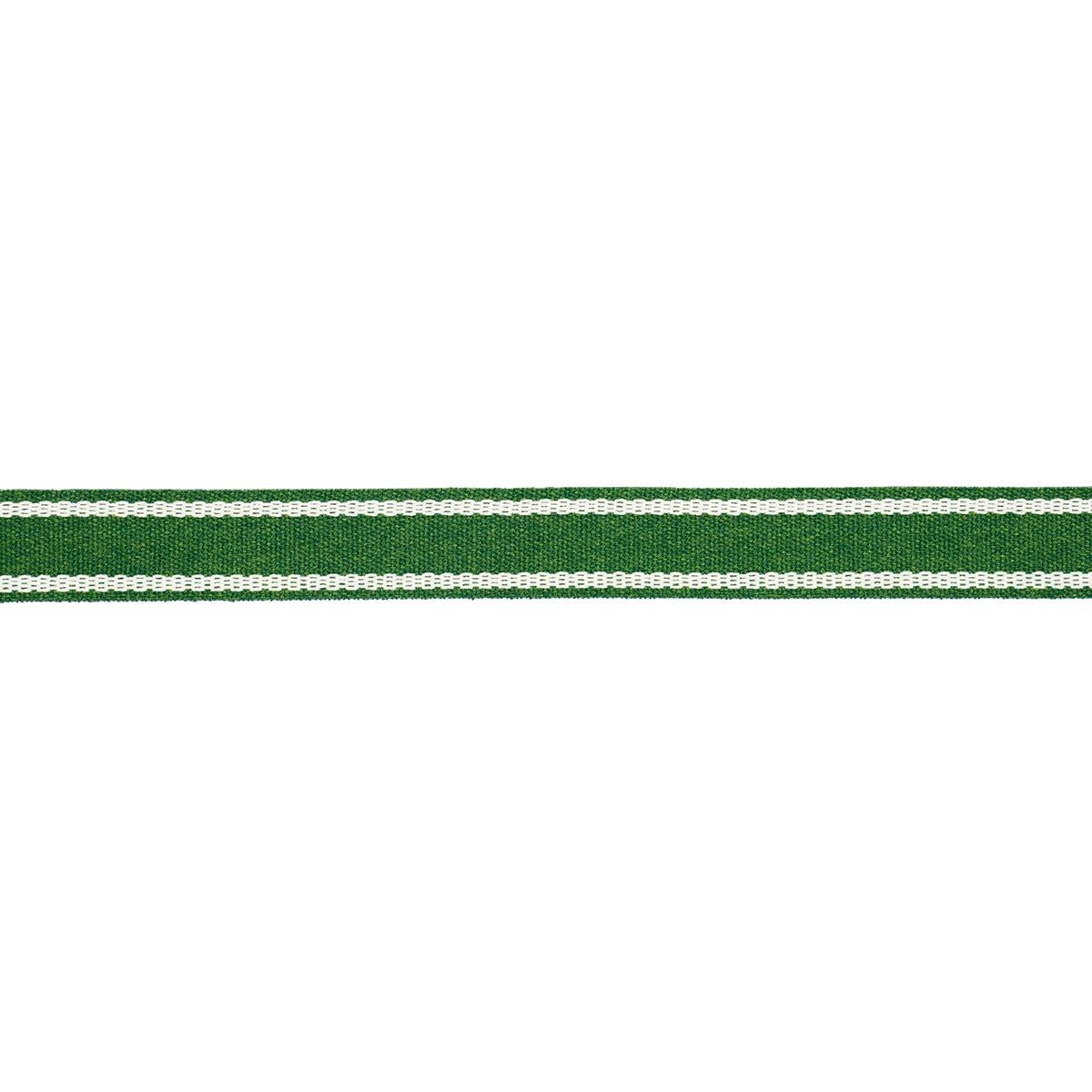 Schumacher Sullivan Tape Narrow Indoor/Outdoor Green Trim