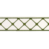Schumacher Parisian Bamboo Green Trim