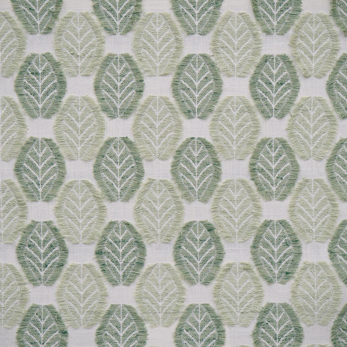 Maxwell ARBORIO #351 CELADON Drapery Fabric