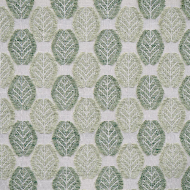 Maxwell ARBORIO #351 CELADON Drapery Fabric