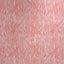 Maxwell CRYPTON STREAMBED #102 CORAL Upholstery Fabric