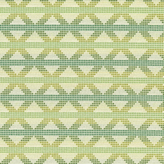 Maxwell CRYPTON ROADMAP #209 ARBORETUM Upholstery Fabric