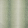 Maxwell CHITAL #353 ALOE Drapery Fabric