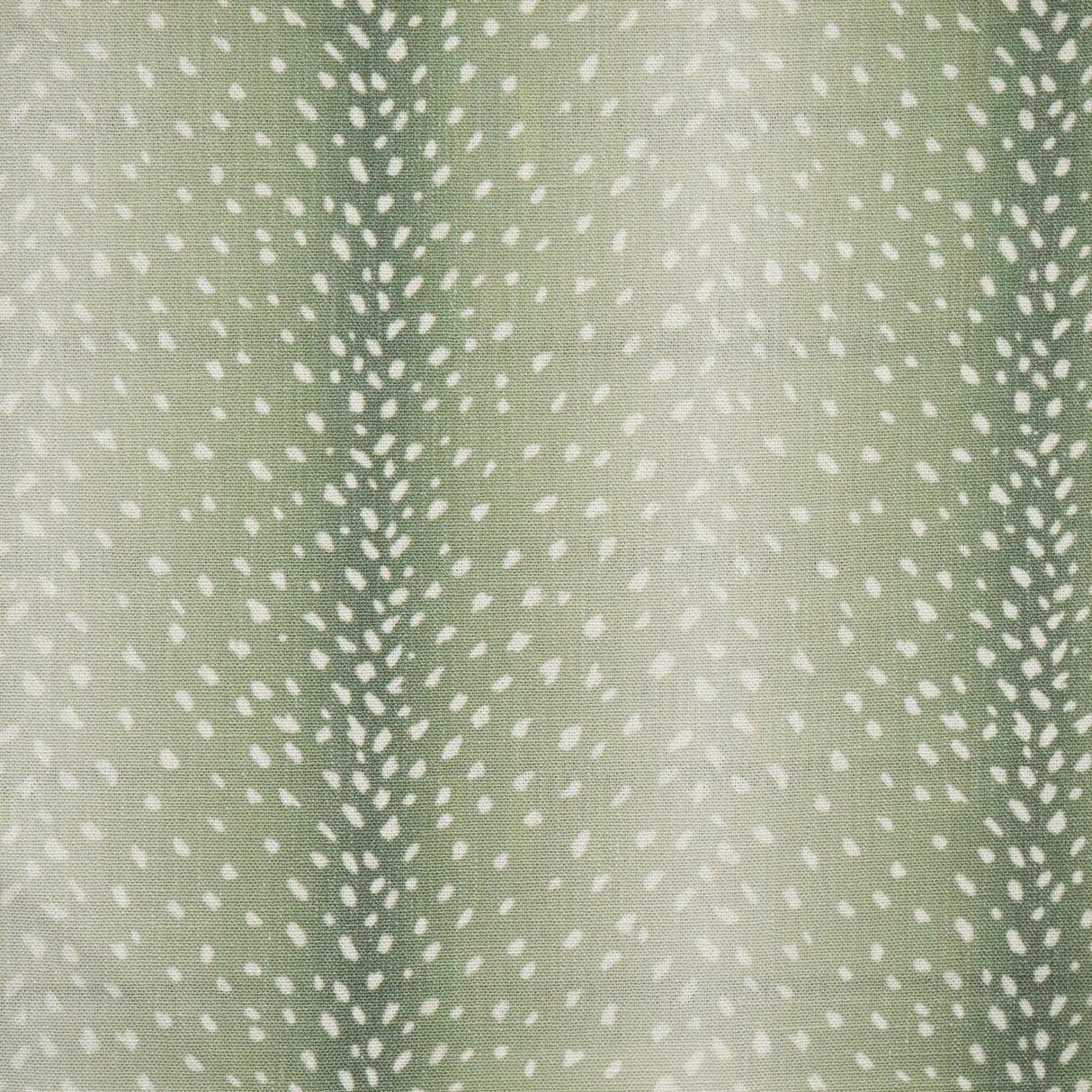 Maxwell CHITAL #353 ALOE Drapery Fabric