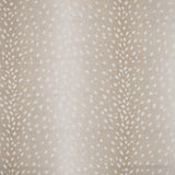 Maxwell CHITAL #644 ECRU Drapery Fabric