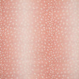 Maxwell CHITAL #737 AZALEA Drapery Fabric