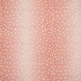 Maxwell CHITAL #737 AZALEA Drapery Fabric