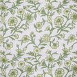 Maxwell FRANGIPANI #345 TARRAGON Drapery Fabric