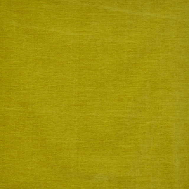 Maxwell RAVE #535 MUSTARD Fabric