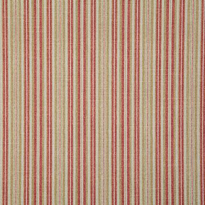 Pindler ACHESON SPICE Fabric