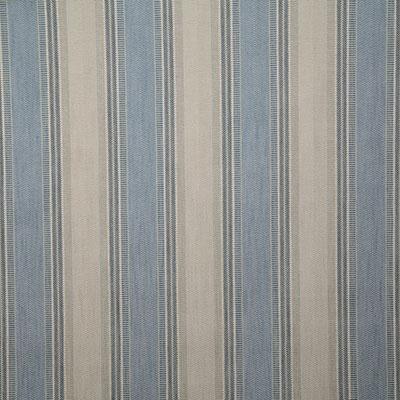 Pindler BADRA INDIGO Fabric