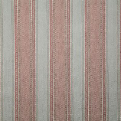 Pindler BADRA SPICE Fabric
