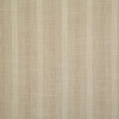 Pindler BADDECK STRAW Fabric