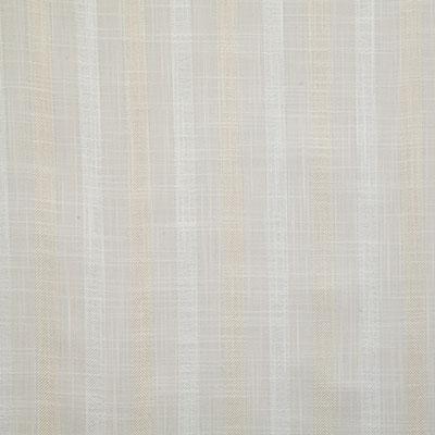 Pindler BADDECK ALABASTER Fabric
