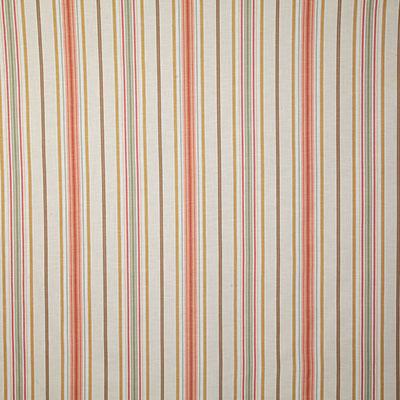 Pindler BERNICE SUMMER Fabric