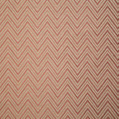 Pindler BREWER SPICE Fabric