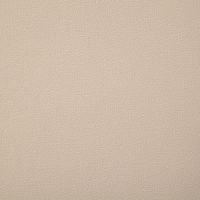 Pindler BUOY BIRCH Fabric