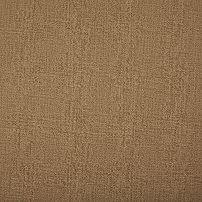 Pindler BUOY TAN Fabric