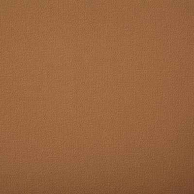 Pindler BUOY MAPLE Fabric