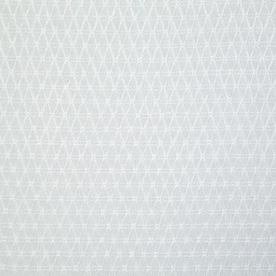 Pindler CLISSON WHITE Fabric