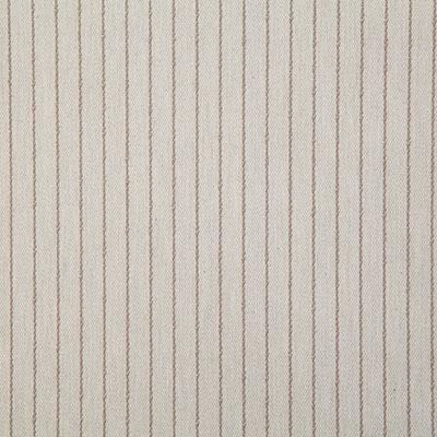 Pindler CRAIG MUSHROOM Fabric