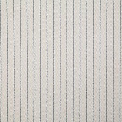 Pindler CRAIG SLATE Fabric