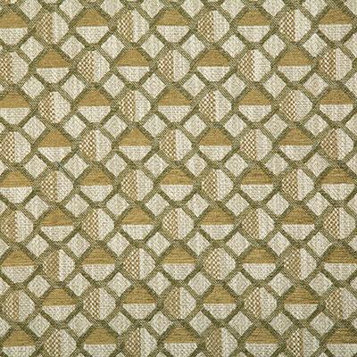 Pindler DEVIN CITRON Fabric