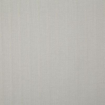 Pindler LEESBURG PUMICE Fabric