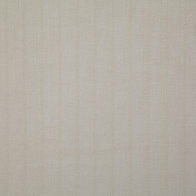 Pindler LEESBURG BEACH Fabric