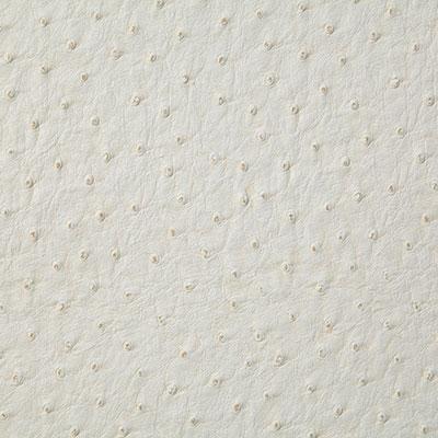 Pindler MICAH WHITE Fabric