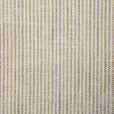 Pindler ONZA SOLEIL Fabric